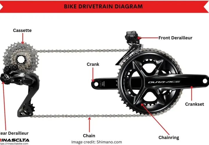 Diagram of bike drivetrain components, including cassette, rear derailleur, chain, crankset, chainring, and front derailleur, essential for mountain bike gears.