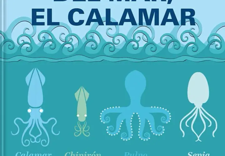 El calamar: recetas irresistibles y secretos de preparación