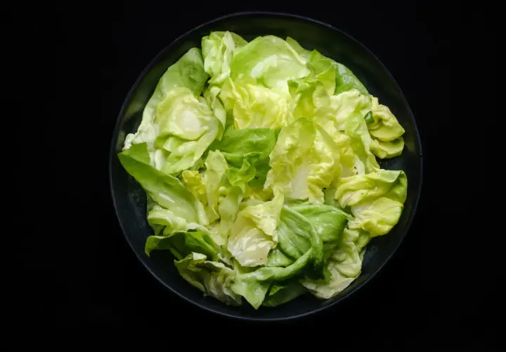 Frischer Kopfsalat in einer Schüssel, bereit für ein leichtes Kopfsalat Rezept.