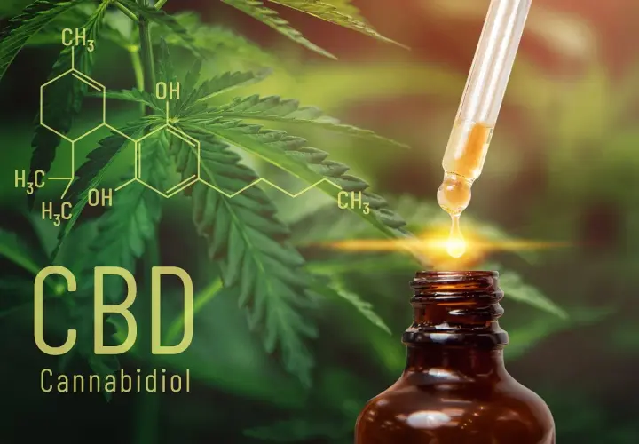 Olejek CBD: Na co działa? Pełny przewodnik po korzyściach