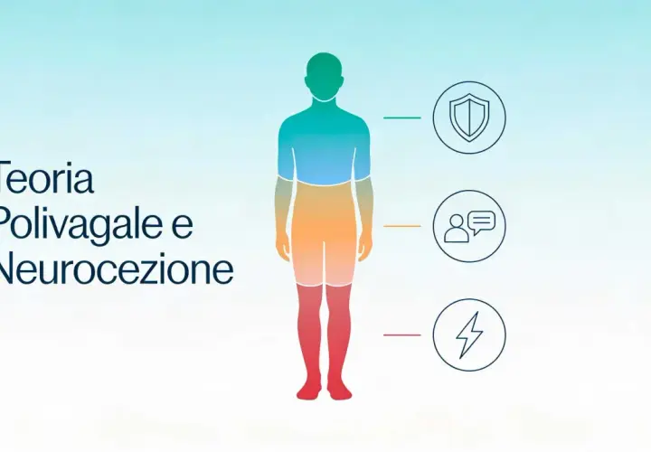 Illustrazione della teoria polivagale: un corpo umano stilizzato con icone che rappresentano protezione, connessione e reazione.