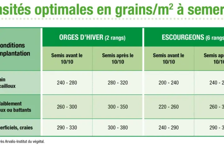 Tableau des densités optimales pour le semis d'orge d'hiver et d'escourgeon, selon les conditions d'implantation et la date de semis.
