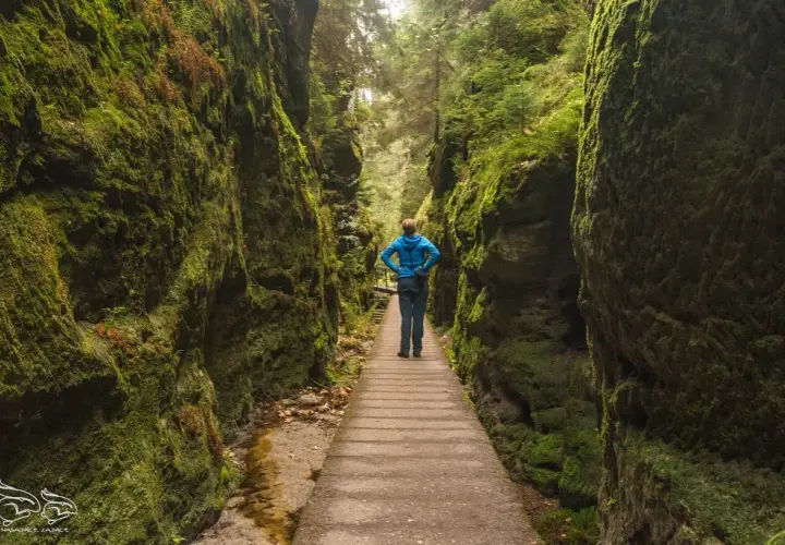 Szwajcaria Saksońska: przewodnik po szlakach, Bastei i atrakcjach