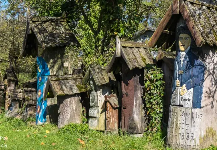 Bory Tucholskie: TOP atrakcje co musisz zobaczyć i przeżyć?
