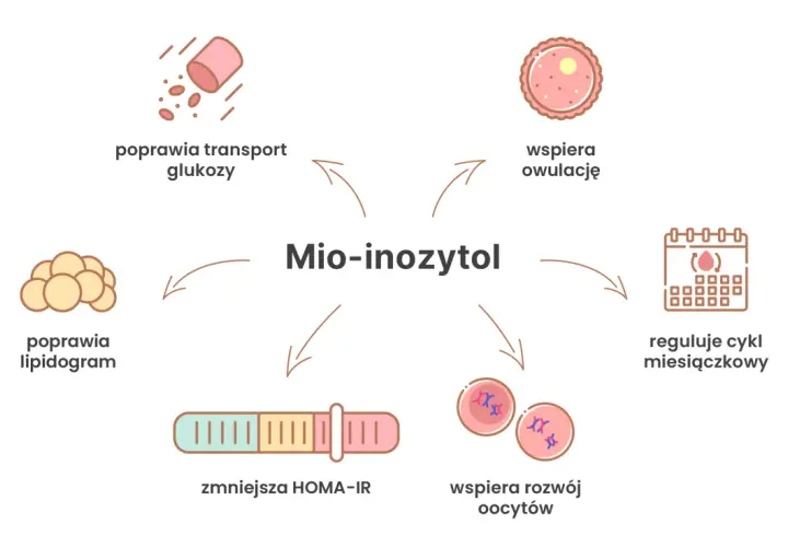 Mio-inozytol wspiera owulację, reguluje cykl miesiączkowy, poprawia transport glukozy, lipidogram, zmniejsza HOMA-IR i wspiera rozwój oocytów.