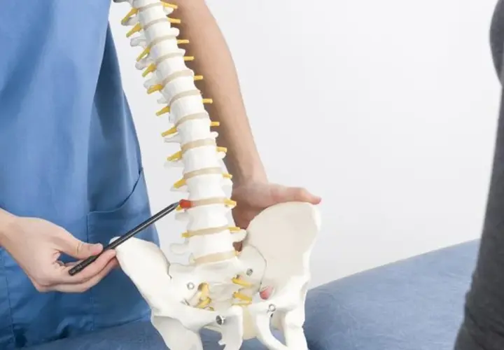 Fizjoterapeuta pokazuje model kręgosłupa, omawiając wpływ torbieli pajęczynówki na wysiłek fizyczny.