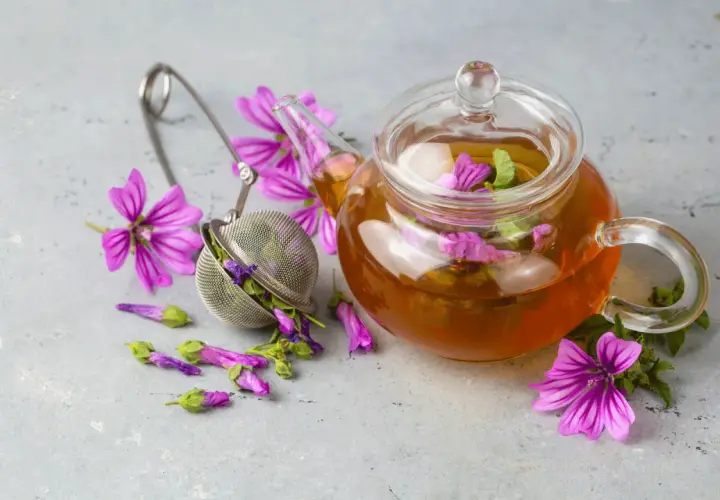 Tè alla malva in teiera di vetro, con fiori e infusore. Attenzione ai malva effetti collaterali.