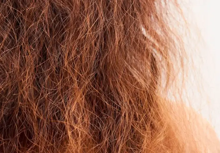 Primer plano de pelo deshidratado, de color rojizo, con aspecto seco y quebradizo.