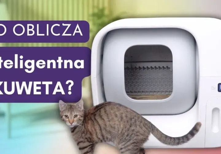 Jak działa kuweta samoczyszcząca? Odkryj jej sekrety i zalety