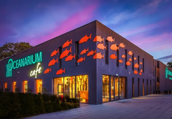 Oceanarium w Międzyzdrojach, z neonowym napisem i pomarańczowymi rybkami na fasadzie, to świetne miejsce na międzyzdrojskie atrakcje dla dzieci.