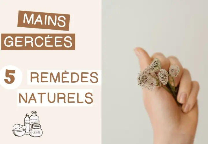 Mains très sèches ? Découvrez 5 remèdes naturels, des secrets de grand-mère pour des mains douces et hydratées.