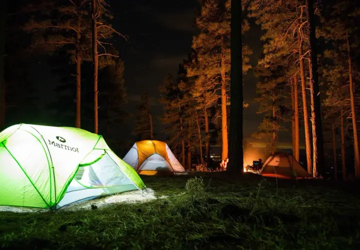 Nocowanie w lesie: trzy namioty oświetlone od środka, ognisko i gwiazdy na nocnym niebie.