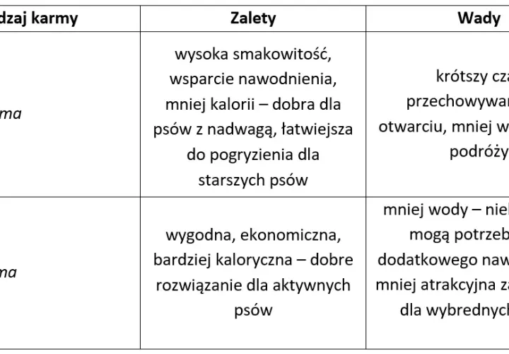 Jak dawkować mokrą karmę psu? Tabela i praktyczne wskazówki