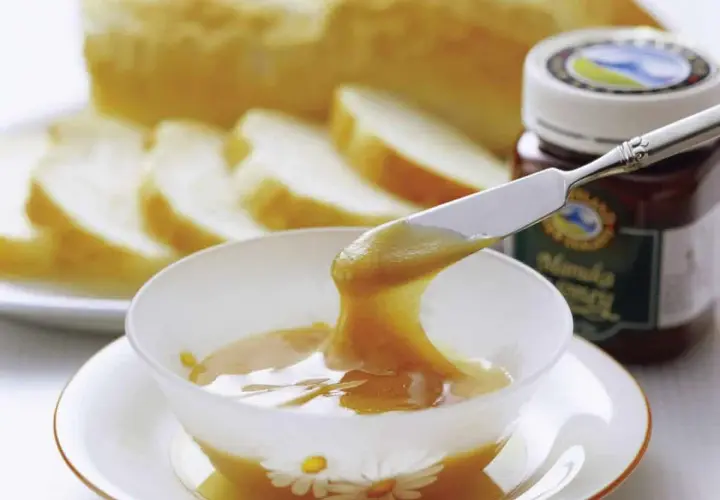 Miód manuka na co pomaga? Właściwości lecznicze i zastosowanie w zdrowiu