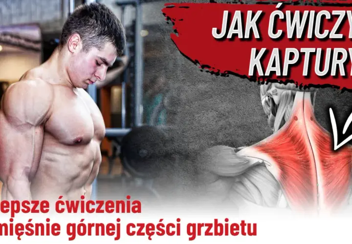 Masywny mężczyzna na siłowni, z naciskiem na rozwinięte mięśnie. Grafika pokazuje mięśnie karku i górnej części pleców, sugerując ćwiczenia na kaptury.