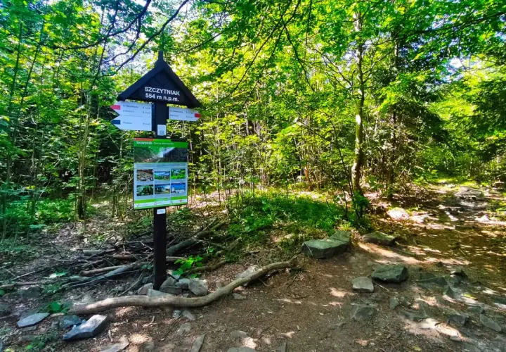 Szczytniak 554 m n.p.m. w Górach Świętokrzyskich. Tablica informacyjna i szlak w lesie.
