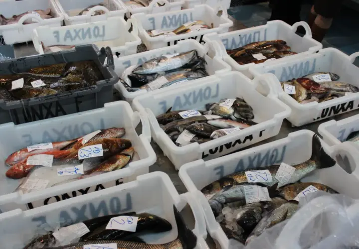 Variedad de pescados frescos en cajas, listos para la venta en un mercado de artes de pesca en Galicia.