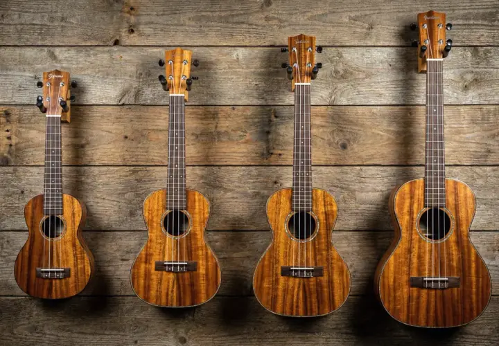 Quatre ukulélés de tailles différentes, chacun représentant un type de ukulele, sont accrochés sur un mur en bois rustique.