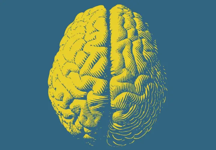 Cervello giallo stilizzato su sfondo blu. Un'immagine che evoca la complessità del pensiero, forse per esplorare il parafilia significato.