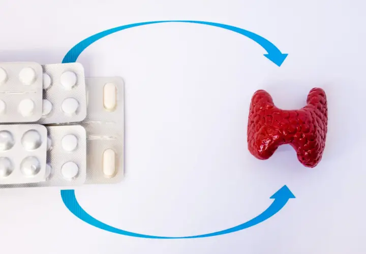 Pigułki Euthyrox 25 i model tarczycy połączone niebieskimi strzałkami, symbolizujące leczenie.