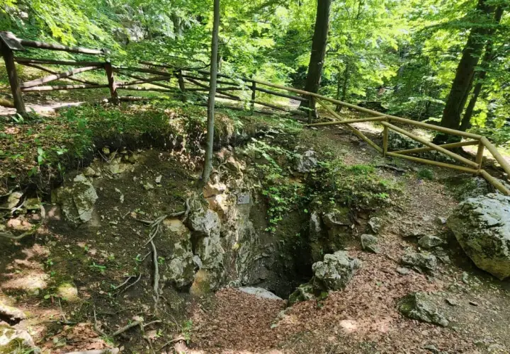 Wejście do jaskini w rezerwat sokole góry. Drewniane ogrodzenie chroni ścieżkę wśród zieleni i skał.