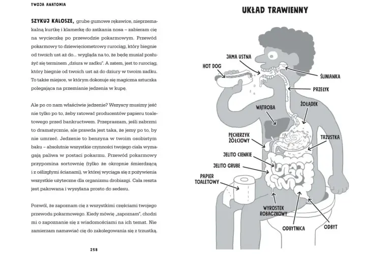 Ilustracja z książki Adama Kaya przedstawia układ trawienny człowieka, od jamy ustnej po odbyt, z zabawnymi opisami.