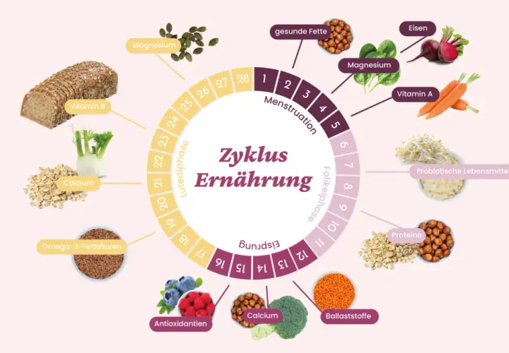 Der Zyklus der Ernährung zeigt, wie energiereiches Essen wie Vollkornbrot, Beeren und Nüsse den weiblichen Zyklus unterstützt.