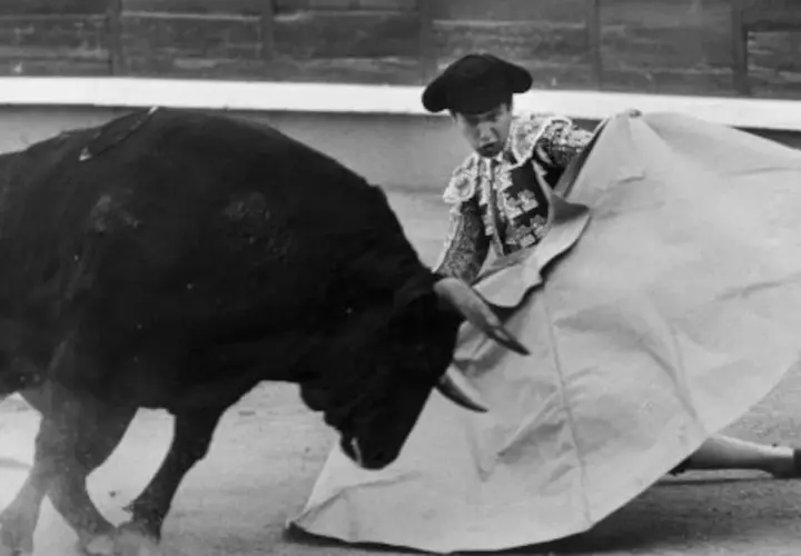 Un torero se enfrenta a un toro bravo en la arena. El toro, que mató a Yiyo, embiste con fuerza.