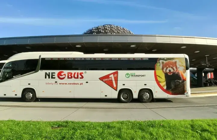 Biały autokar Neobus z wizerunkiem pandy małej. Sprawdź atrakcyjne neobus ceny biletów na www.neobus.pl.