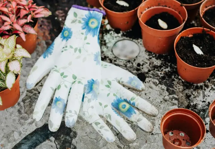 Blommiga handskar ligger bredvid krukor med jord och frön, redo för att odla på balkong. Små plantor väntar på att planteras.
