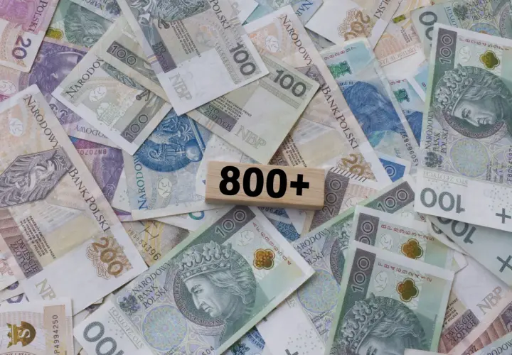 Pieniądze w polskich złotówkach, z drewnianym klockiem z napisem "800+". Kiedy złożyć wniosek o 800 plus?