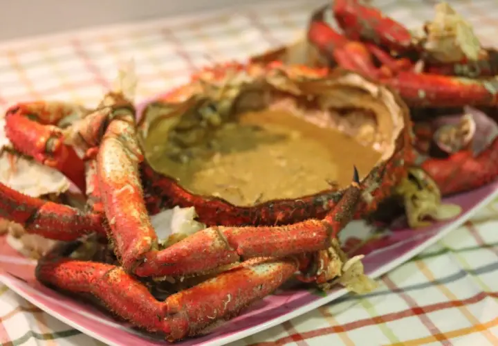 Centolla cocida con sus huevas, lista para disfrutar. Sus patas rojas y su caparazón lleno de sabor la hacen irresistible.