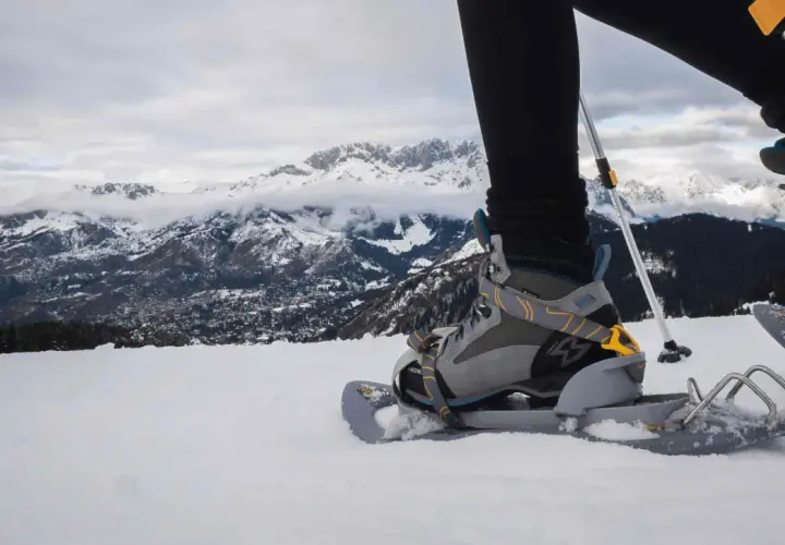 Persona camina con raquetas de nieve sobre un paisaje montañoso nevado. Hay varios tipos de raquetas de nieve.