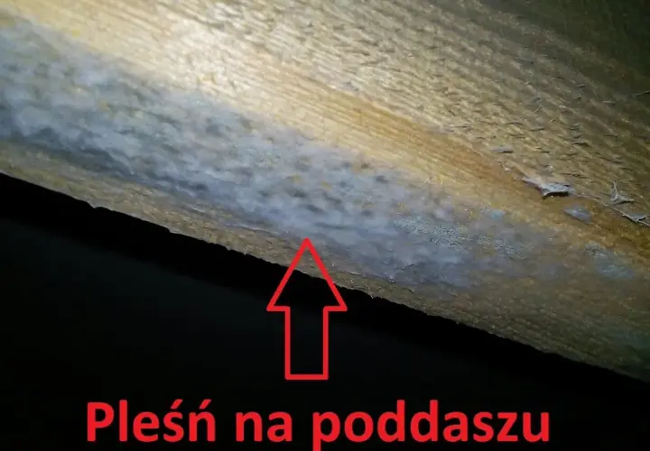 Ile czasu ma deweloper na usunięcie usterki? Poznaj swoje prawa