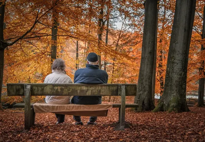 Para szuka najlepszych prywatnych domów opieki na Śląsku, siedząc na ławce w jesiennym lesie.