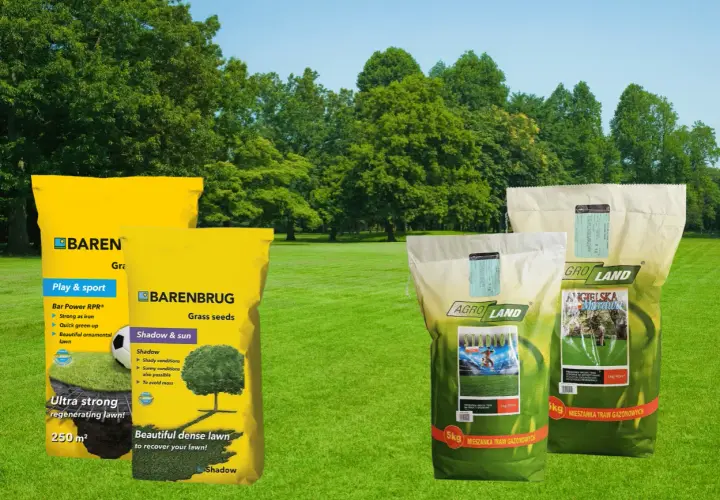 Jaka trawa na trawnik? Wybierz Barenbrug "Shadow & sun" dla pięknego, gęstego trawnika, nawet w cieniu. Idealna na każdą porę roku.