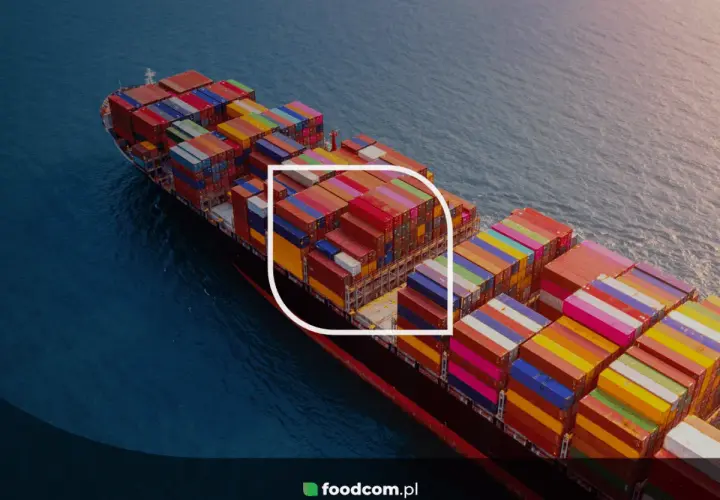 Frachtschiff mit bunten Containern auf dem Meer, ein Beispiel für intermodale Transportlösungen.
