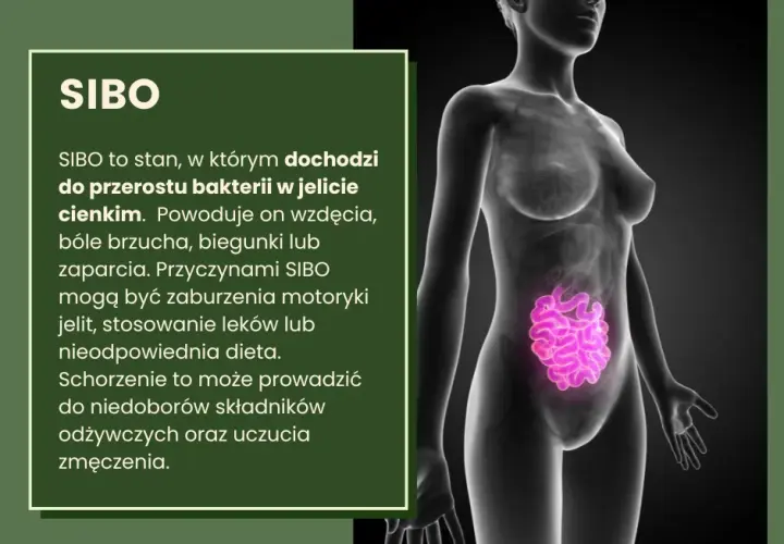 Inulina a SIBO: Czy pomoże w leczeniu? Korzyści i zagrożenia