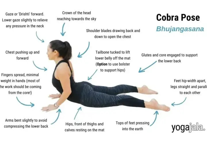 Kobieta w pozycji kobry joga (Bhujangasana). Klatka piersiowa uniesiona, ramiona lekko ugięte, nogi proste.