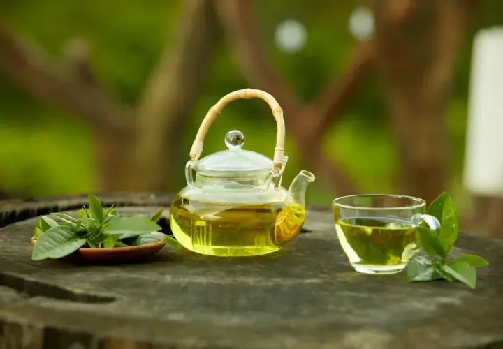 Tetera de cristal con té verde y hojas frescas. Descubre para qué sirve el té verde y sus beneficios.