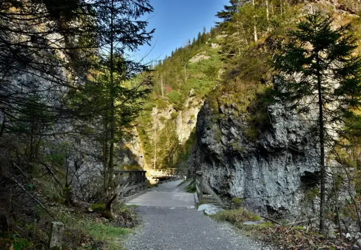 Kamienista ścieżka prowadzi przez wąwóz do drewnianego mostku. Idealne zakopane trasy dla seniorów, by podziwiać przyrodę.