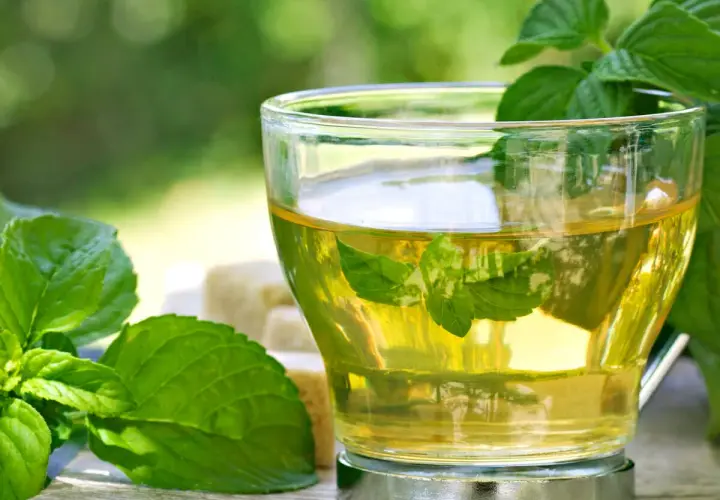 Erfrischender Minztee im Glas, mit frischen Minzblättern und Zuckerwürfeln. Was ist Minze? Ein belebender Genuss.