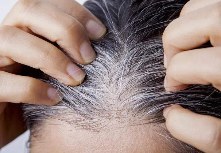 Dedos separan cabello oscuro con hebras plateadas, mostrando el inicio de las canas. ¿A qué edad salen las canas?