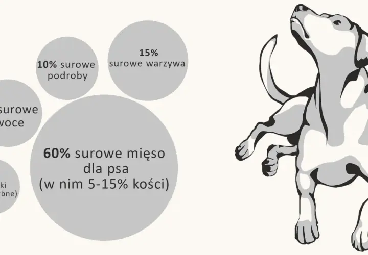 Przepis na barf dla psa: 60% mięsa, 15% warzyw, 10% podrobów, 5% owoców, 10% dodatków (oleje rybne).