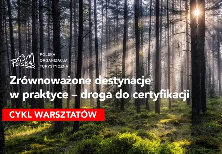 Promień słońca przebija się przez las, oświetlając ścieżkę. Temat: turystyka zrównoważona przykłady. Cykl warsztatów.