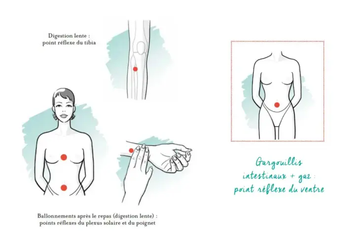Points réflexes pour soulager ballonnements et digestion lente. Un massage abdominal peut aider.