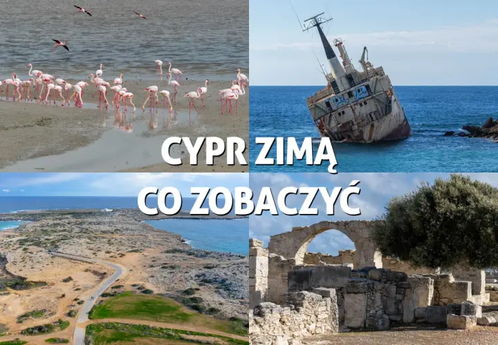 Cypr zimą: flamingi, wrak statku, wybrzeże i ruiny. Pogoda w lutym sprzyja zwiedzaniu.