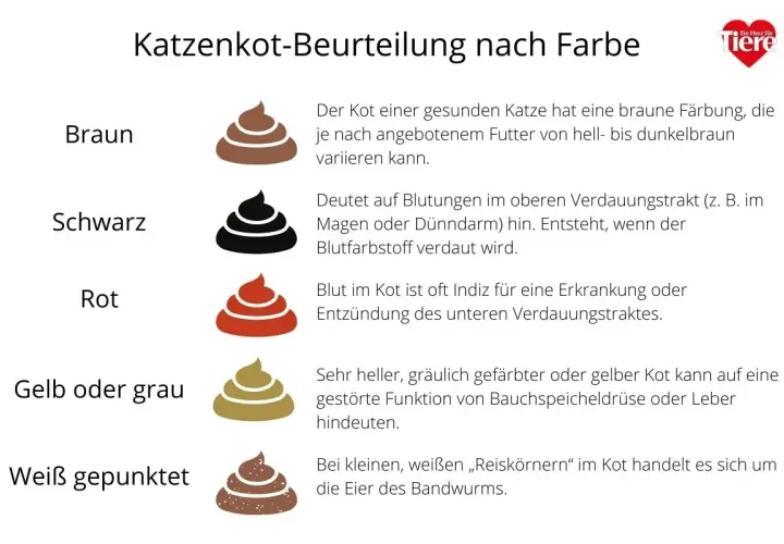 Illustrationen von Katzenkot in verschiedenen Farben (braun, schwarz, rot, gelb/grau, weiß gepunktet) mit Erklärungen zu deren Bedeutung für die Katzengesundheit.