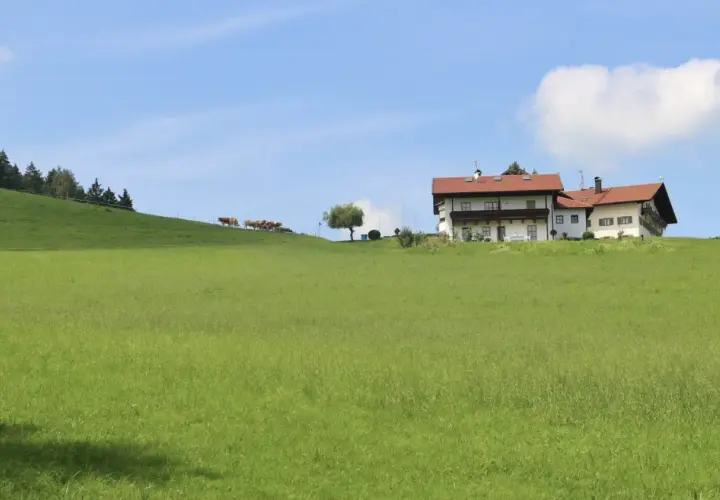 Ile kosztuje ar działki budowlanej na wsi? Ceny, które musisz znać