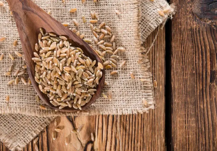 Mąka orkiszowa ma gluten! Co to znaczy dla Twojej diety?